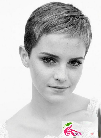 艾玛沃特森短发