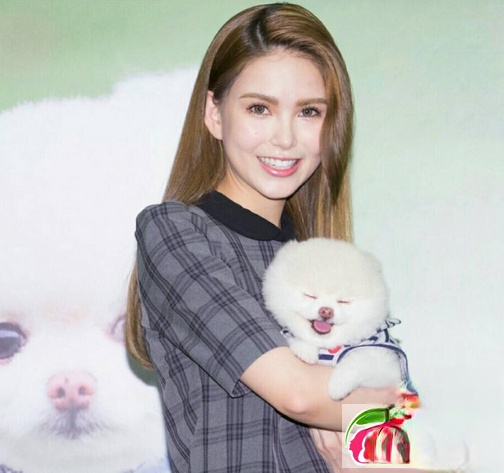 明星染发,流行发色