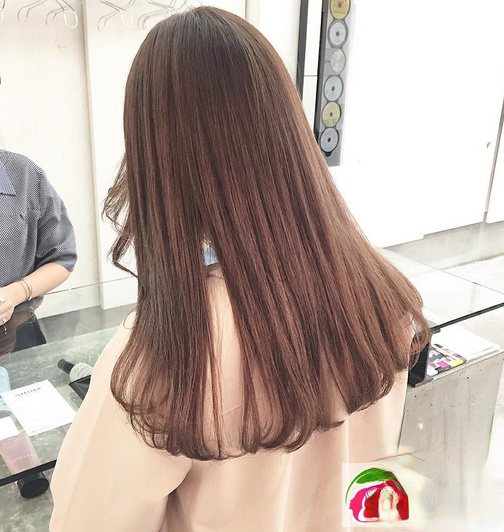 ѧԺ,滨ͷ,̷,ʽ,ͼƬ