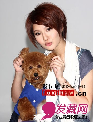 人气女星BOB发型大PK 看谁最有干练气质