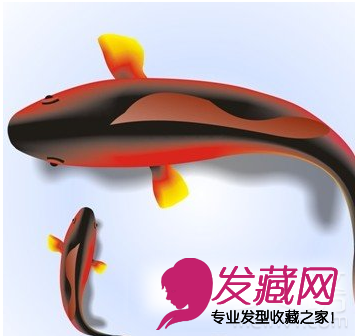 ��ʲô��ͷ���� �����ͷ�����