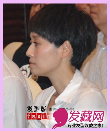 ����������������P�崿ѧ���̷�����