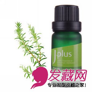 Jplus