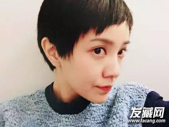 【图】孙俪高俊熙郭采洁 高俊熙-凌乱超短发(4