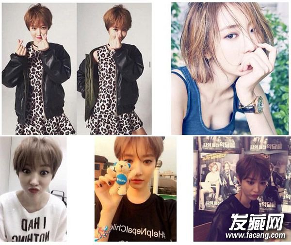 头发总是留不长?都怪她们短发太美了! 头发总是留不长?都怪她们短发太美了! 短发好看的女明星