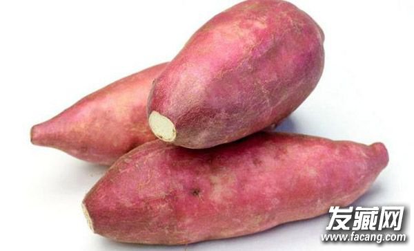 ˮܻˣճʳаصĻط ʲôܻ