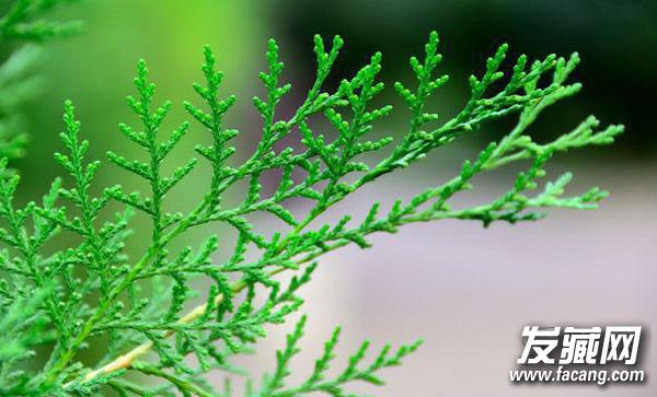 ���Ӻ�Ҳ����ϴͷ������Щϴ��ƫ��������� �����ѷ���ƫ��