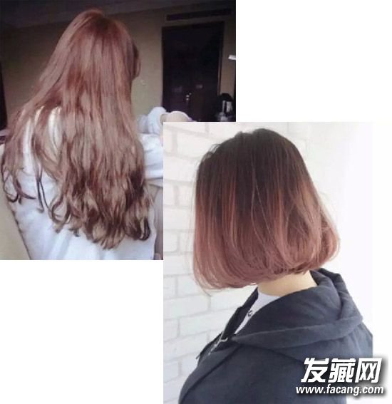 ľ&ɰ 2016ŴɫϵȾο еȾɫ