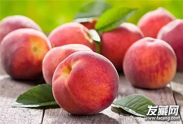 ͷõˮЩƻ&Ҷǻð ʲôˮͷ