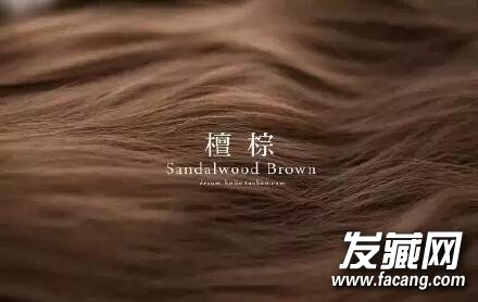 еͷɫ 2016ļ3ɫ еķɫ