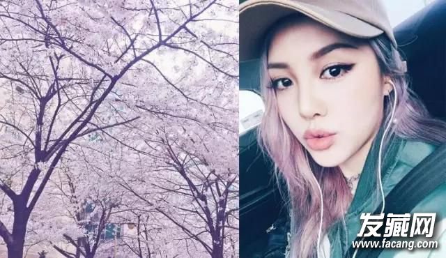 еͷɫ 2016ļ3ɫ еķɫ