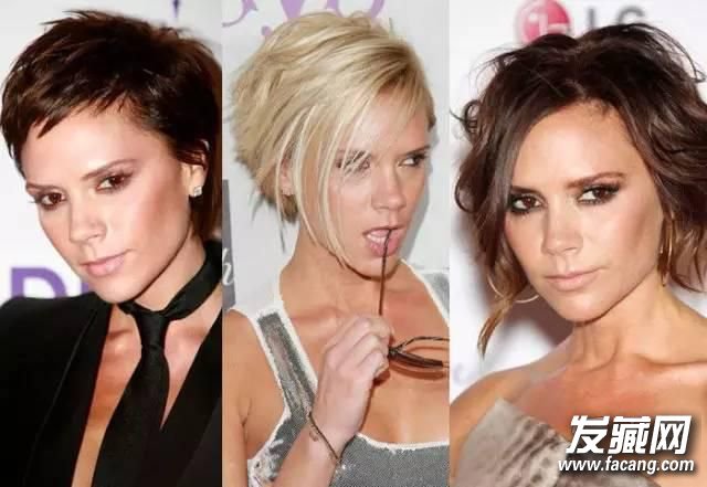 ۽ɩ· ŮlobʫʫӰ ·