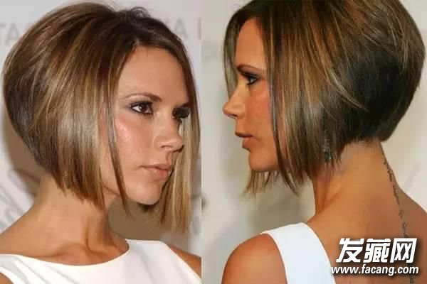 ۽ɩ· ŮlobʫʫӰ ·