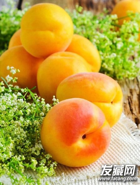 ˮҲܻļʲôˮͷã ͷõˮ