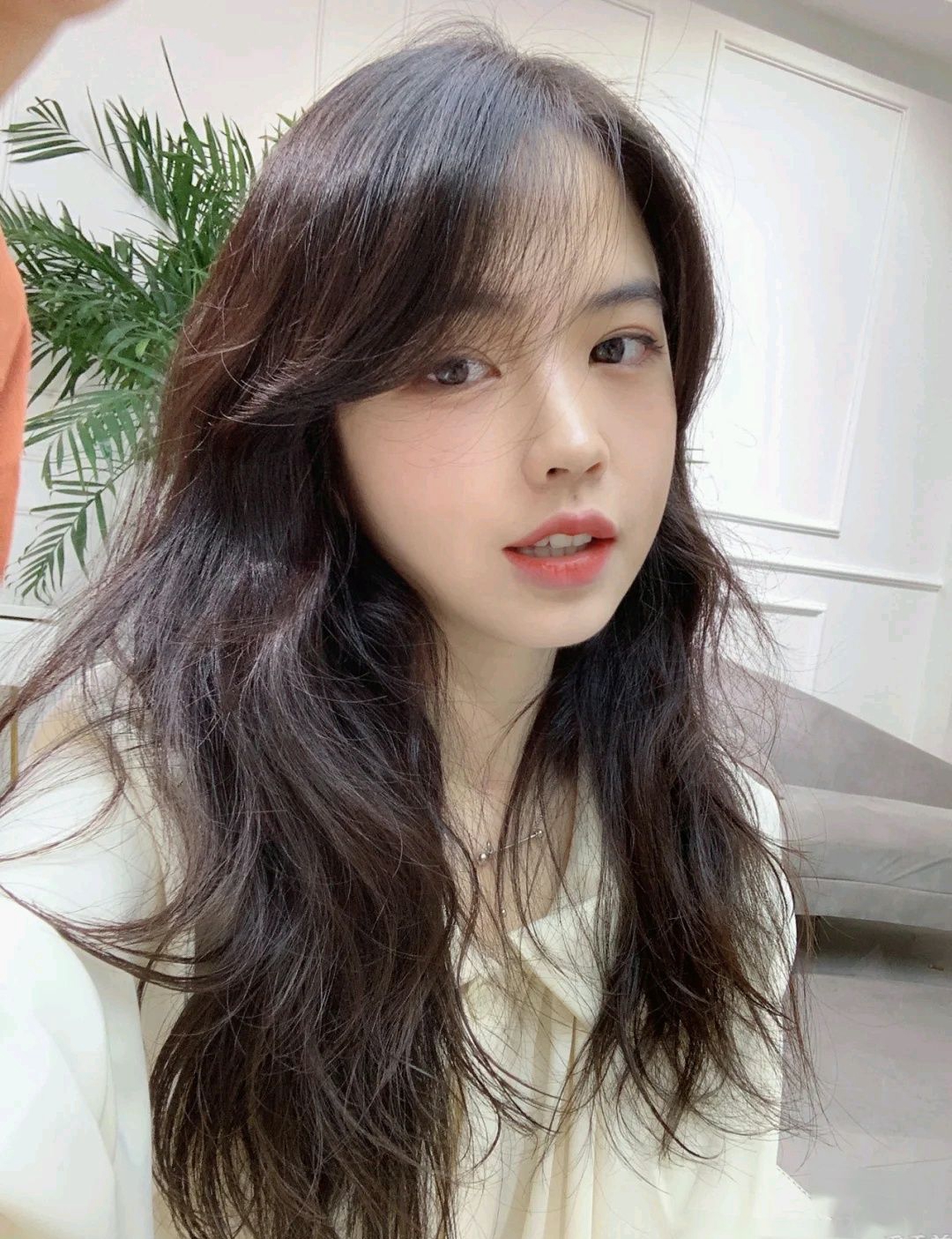 ͼƬ