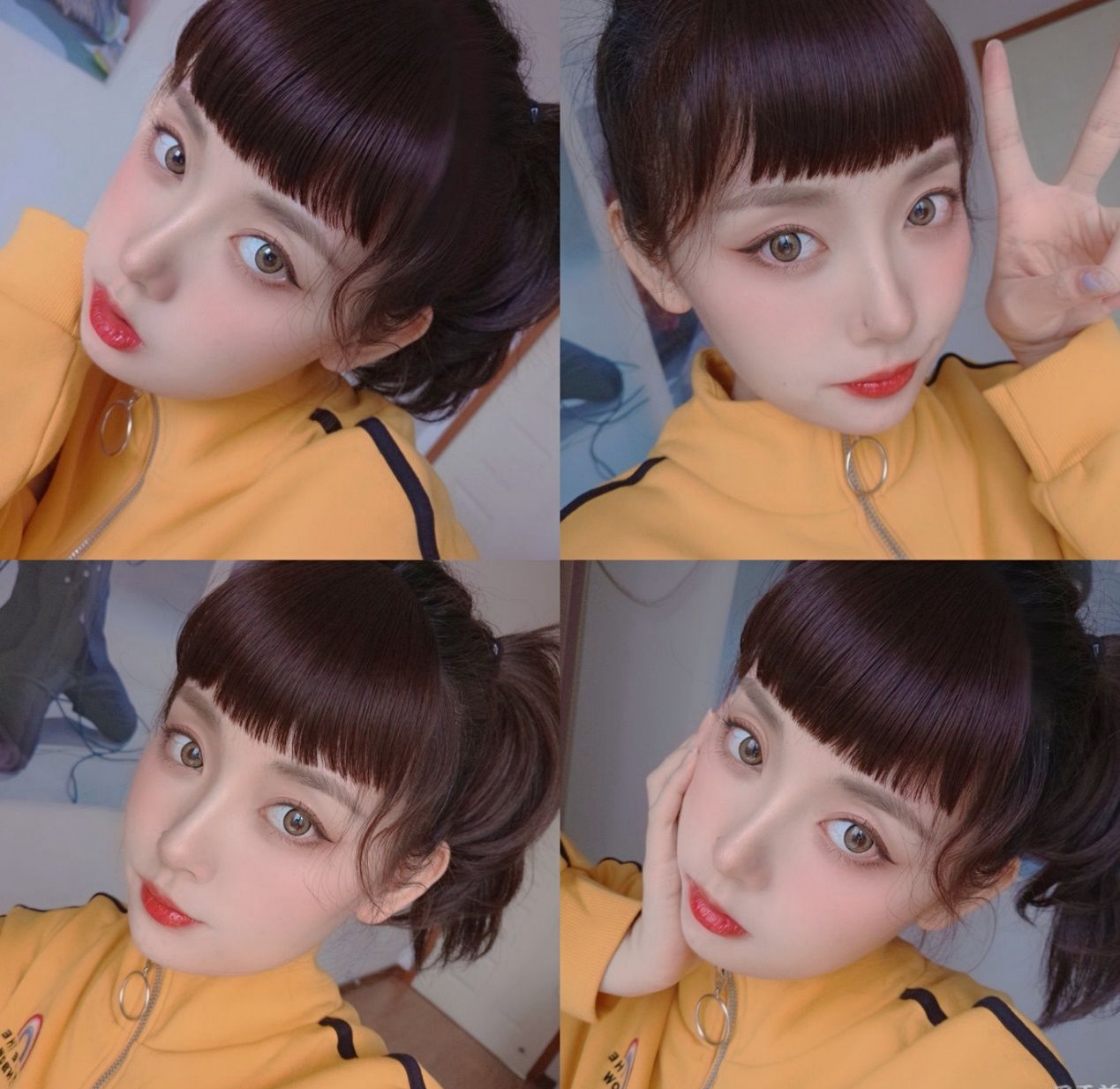 ͼƬ